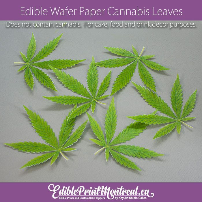 How To Draw A Weed Leaf Step By Step