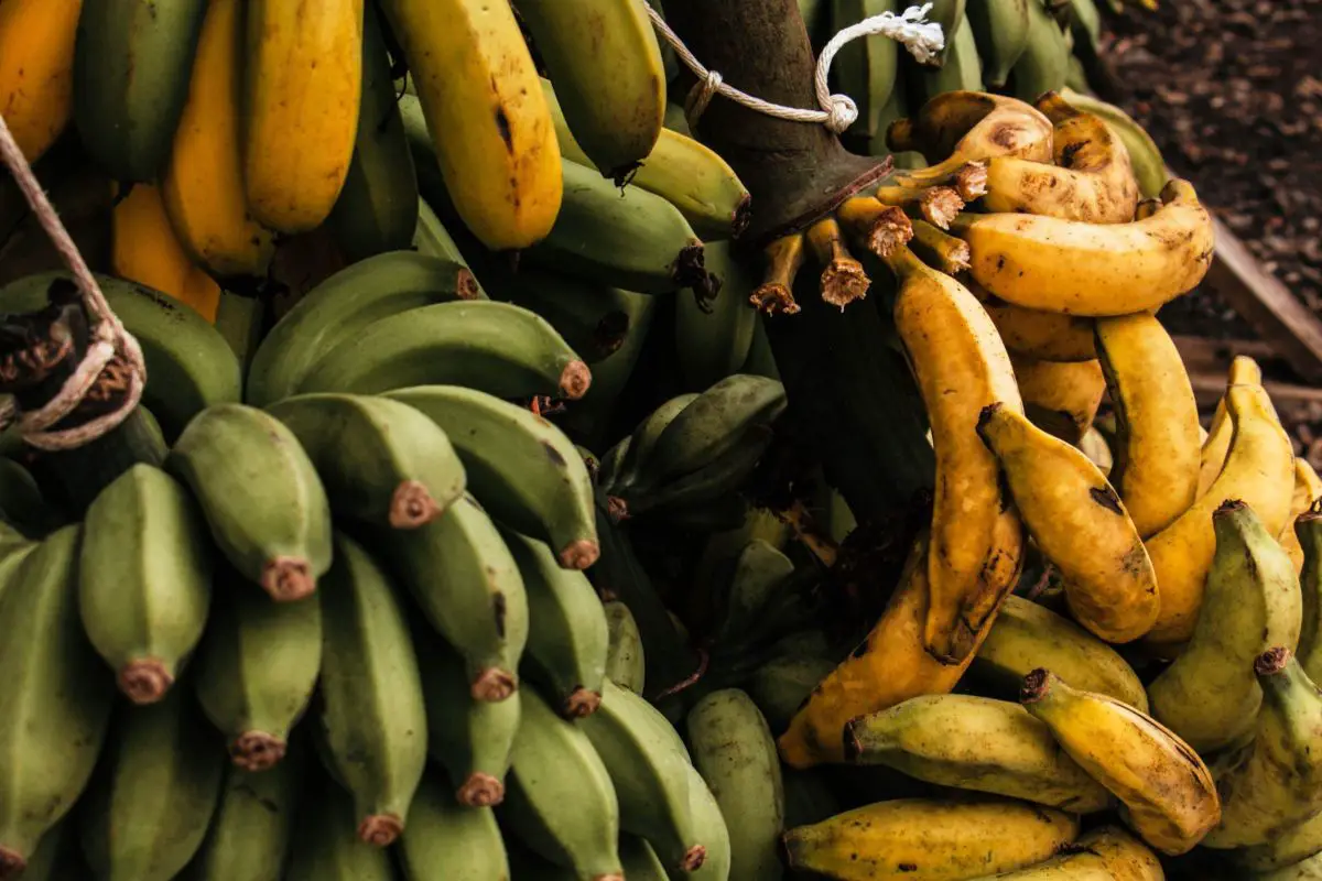 How to Increase Pennis Size in Ayurveda
