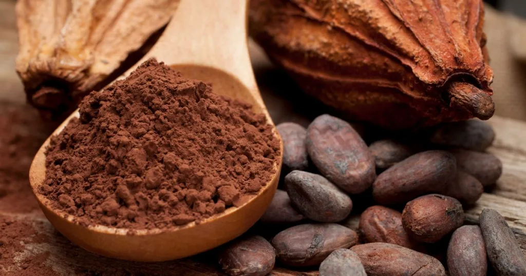 Cocoa se utiliza para hacer chocolate