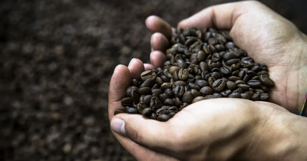 How To Get Started In The Coffee Market