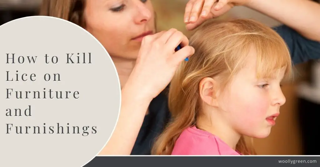 How To Treat Furniture For Lice