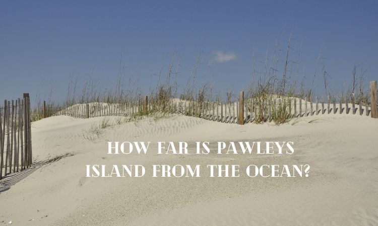 How Far is Pawleys Island from the Ocean