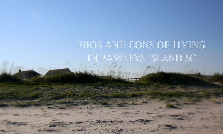 Pros And Cons Of Living In Pawleys Island Sc