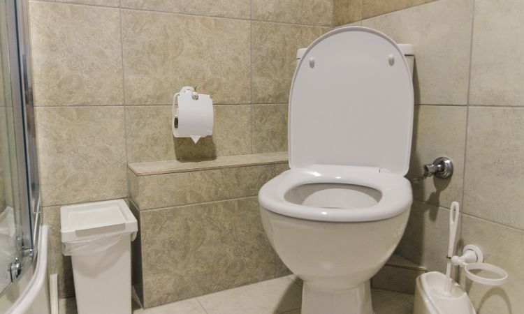 What are the Pros And Cons of a Tankless Toilet