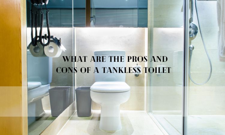 What Are The Pros And Cons Of A Tankless Toilet