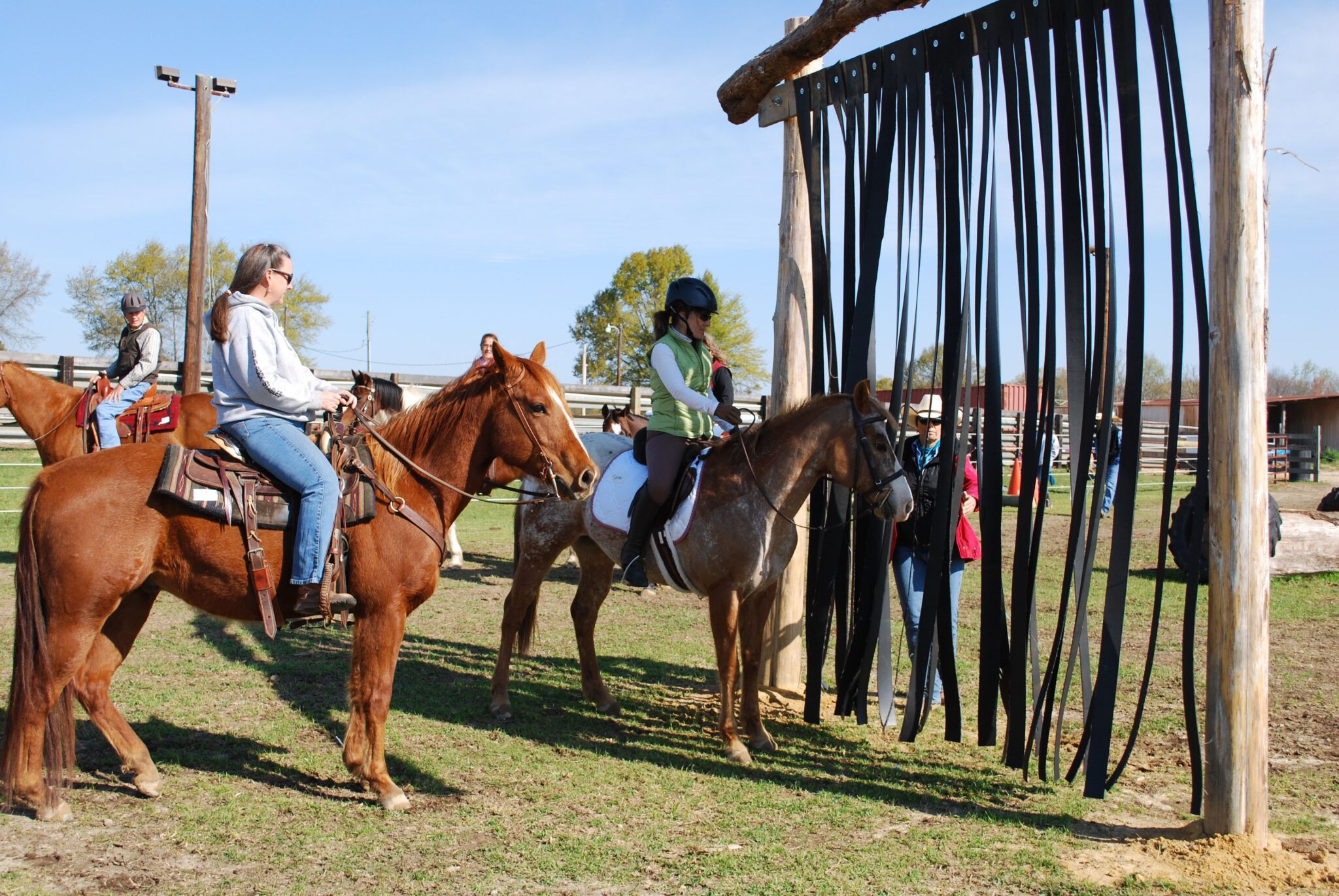 Cowboy Curtain