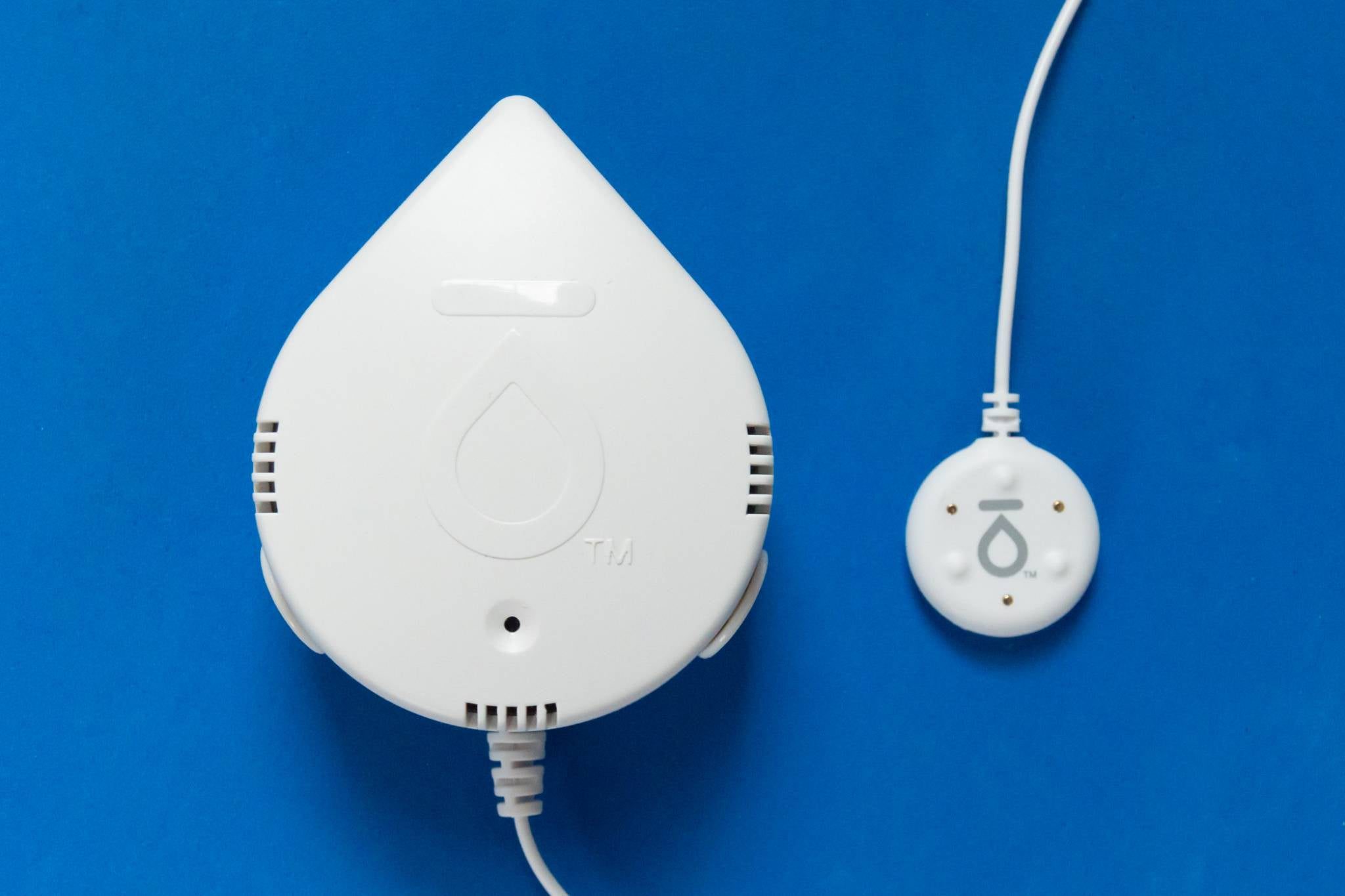 Water Leak Detection Systems for Commercial Buildings