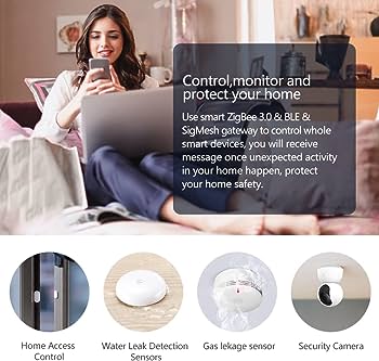 Wireless Gas Leak Detector