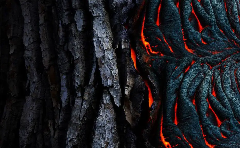 preserving natural wood color