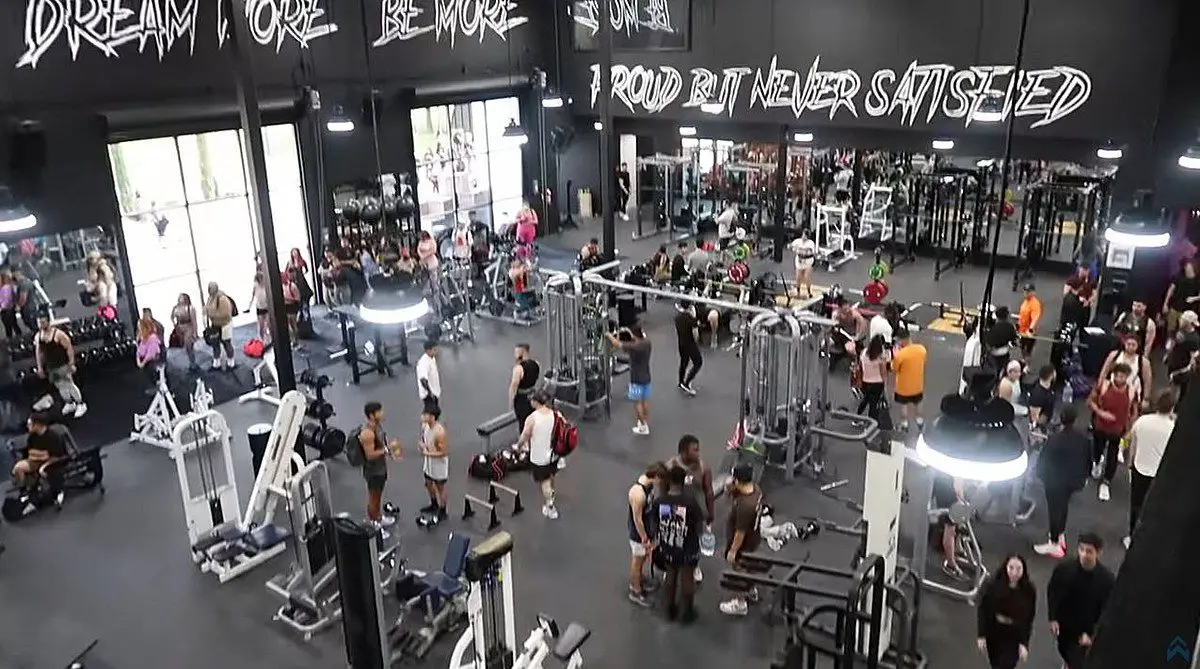 How Much is Alphaland Membership