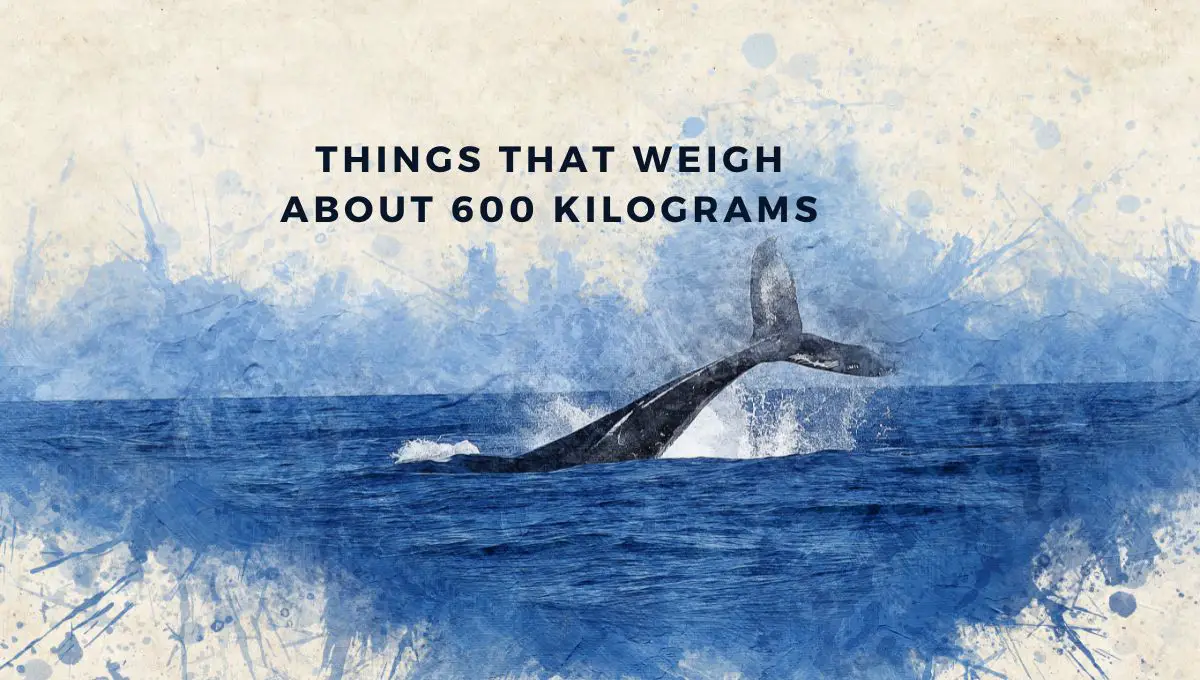 Things That Weigh About 600 Kilograms