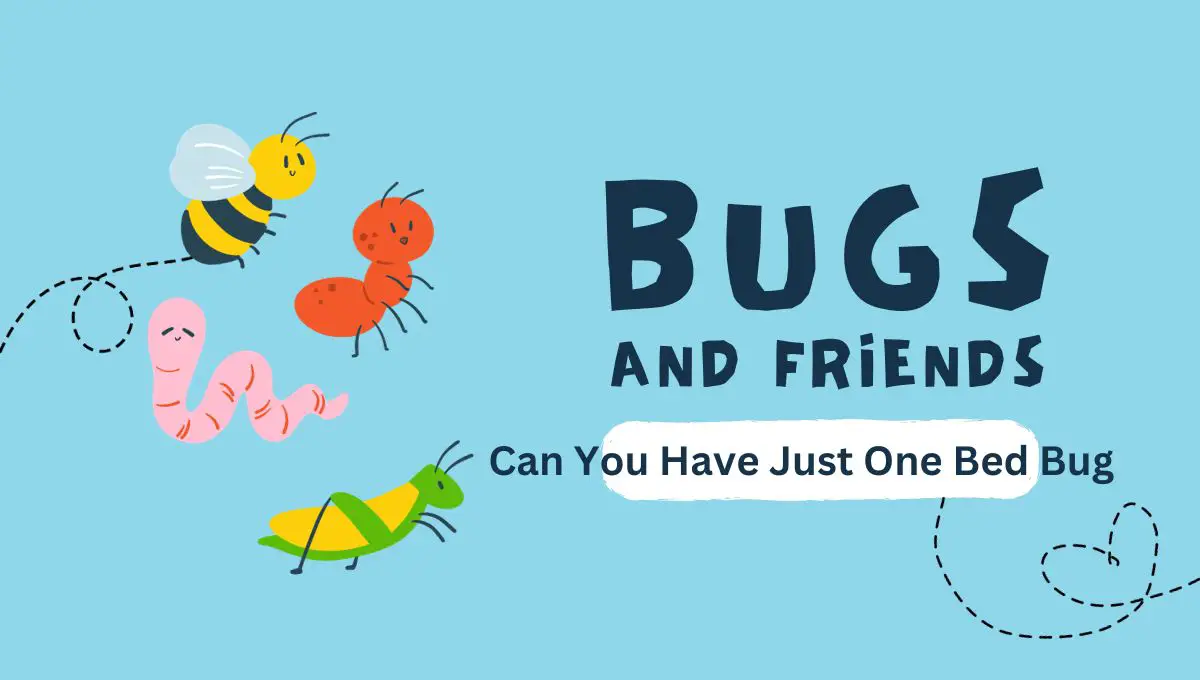Can You Have Just One Bed Bug