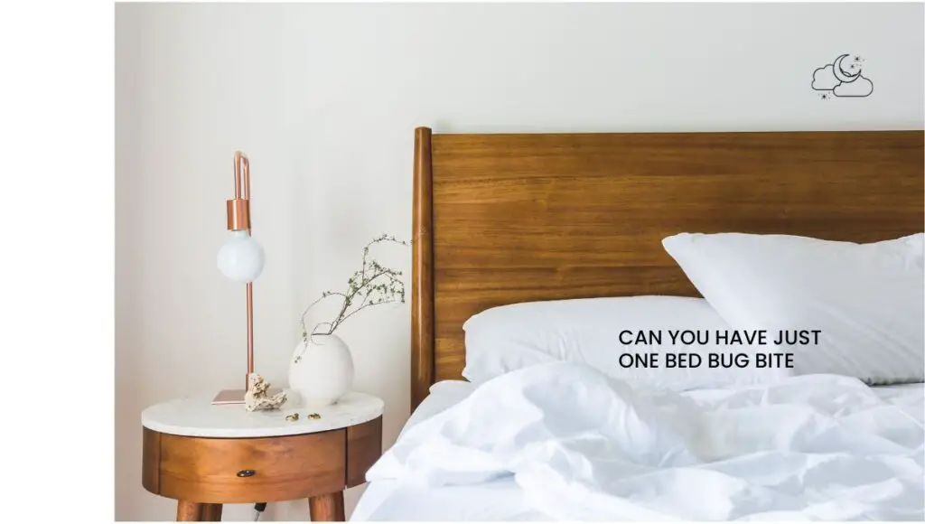 Can You Have Just One Bed Bug Bite