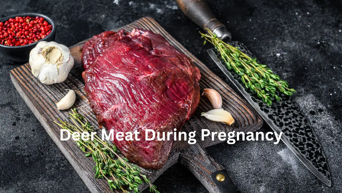 Deer Meat During Pregnancy