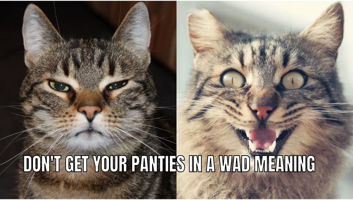 Don't Get Your Panties in a Wad Meaning