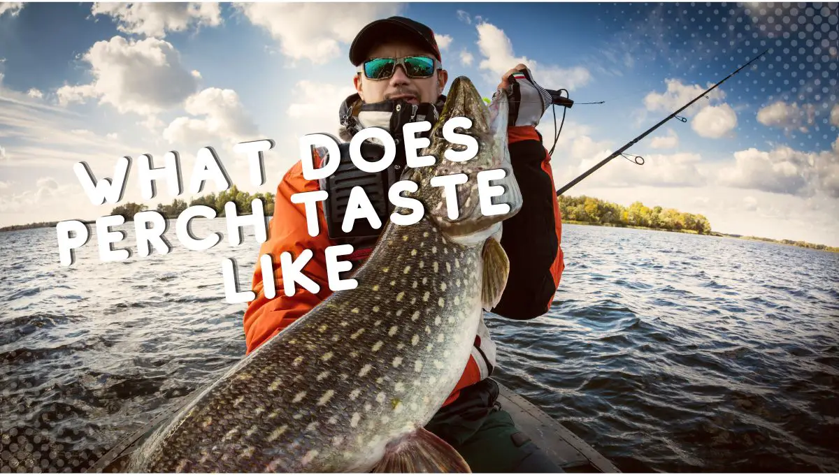 what does prech taste like
