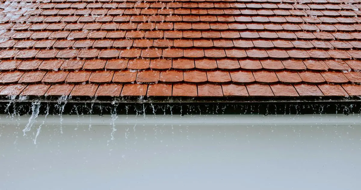 How to Handle Roof Runoff Without Gutters