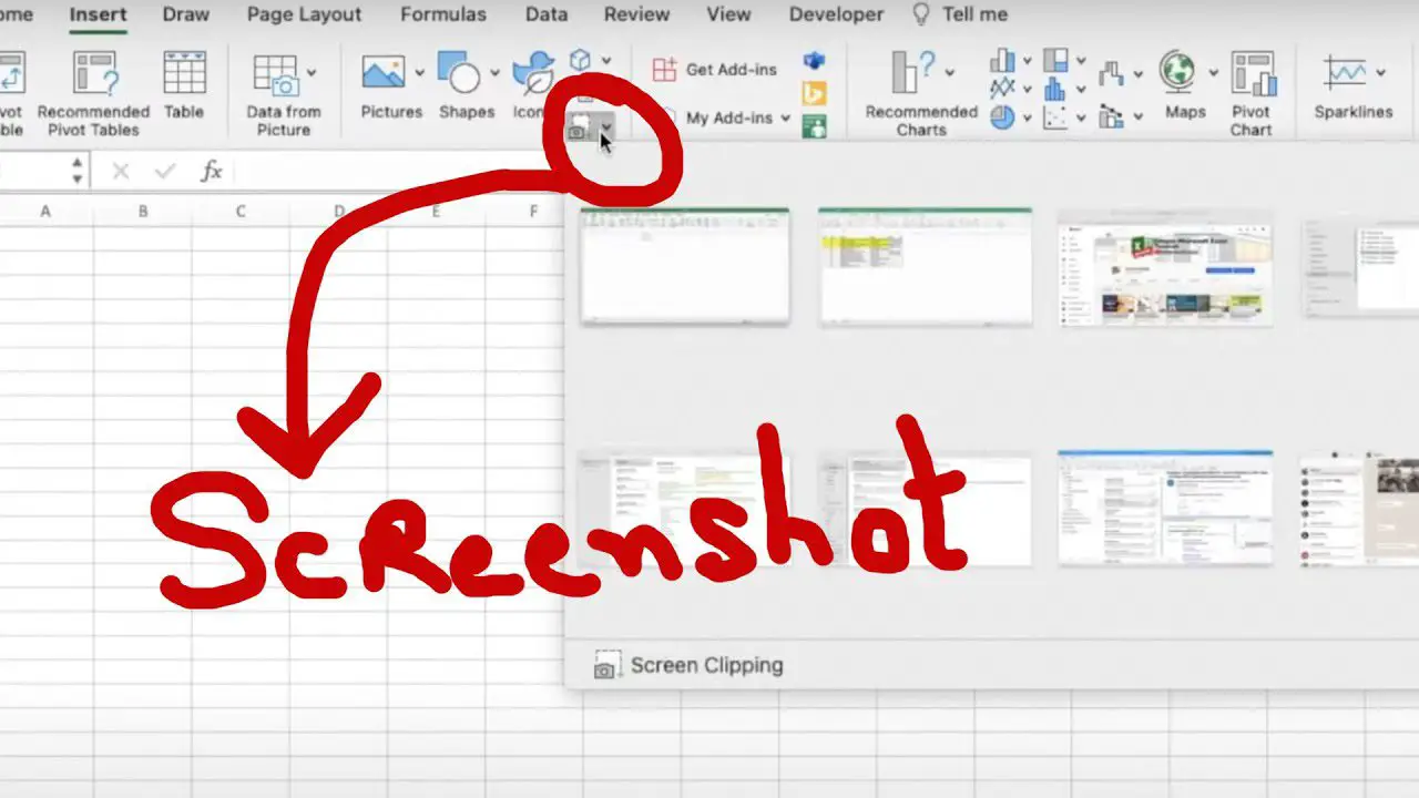 Screenshot in Excel